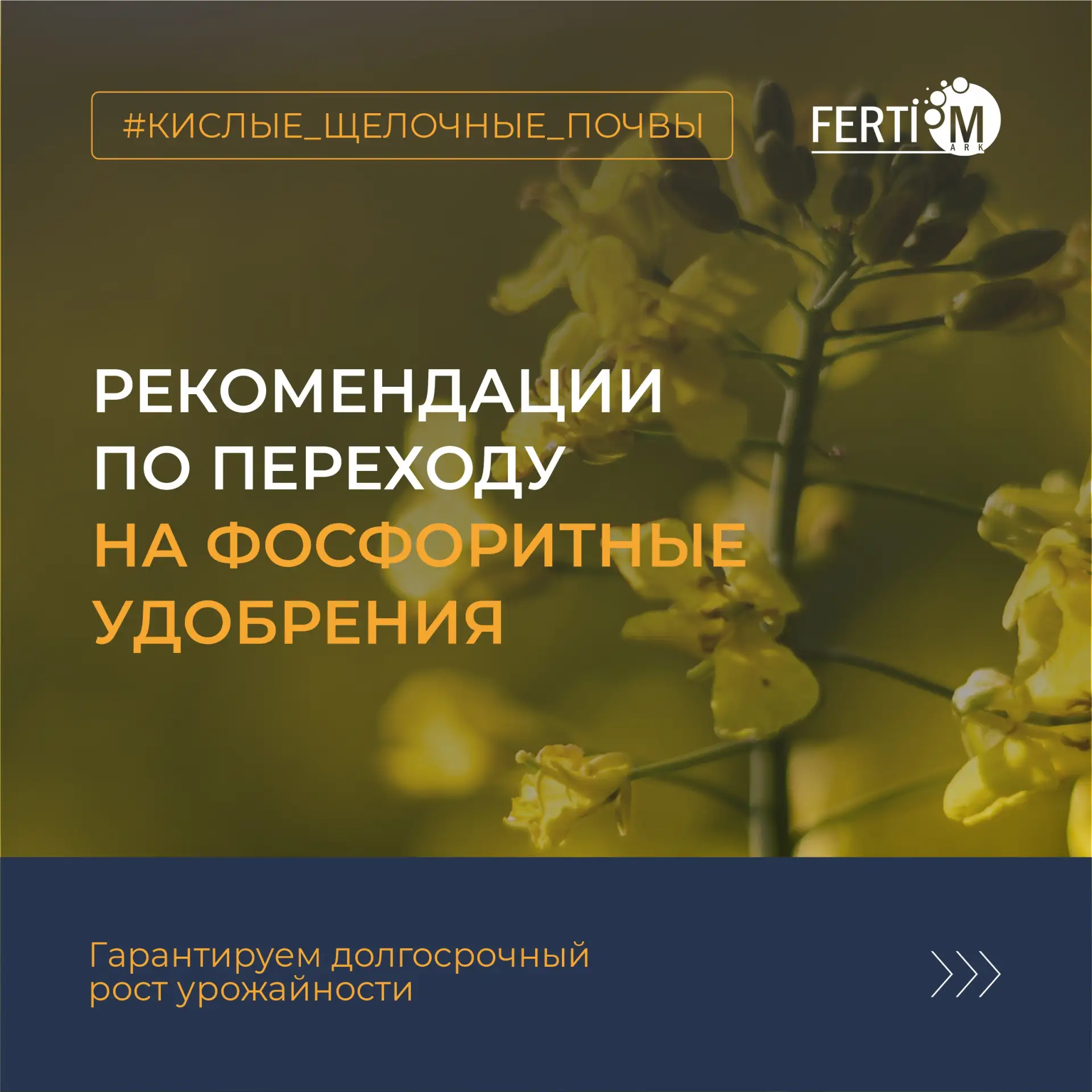 Критичность и значимость долгосрочного планирования. 
При переходе на фосфоритные удобрения ключевым