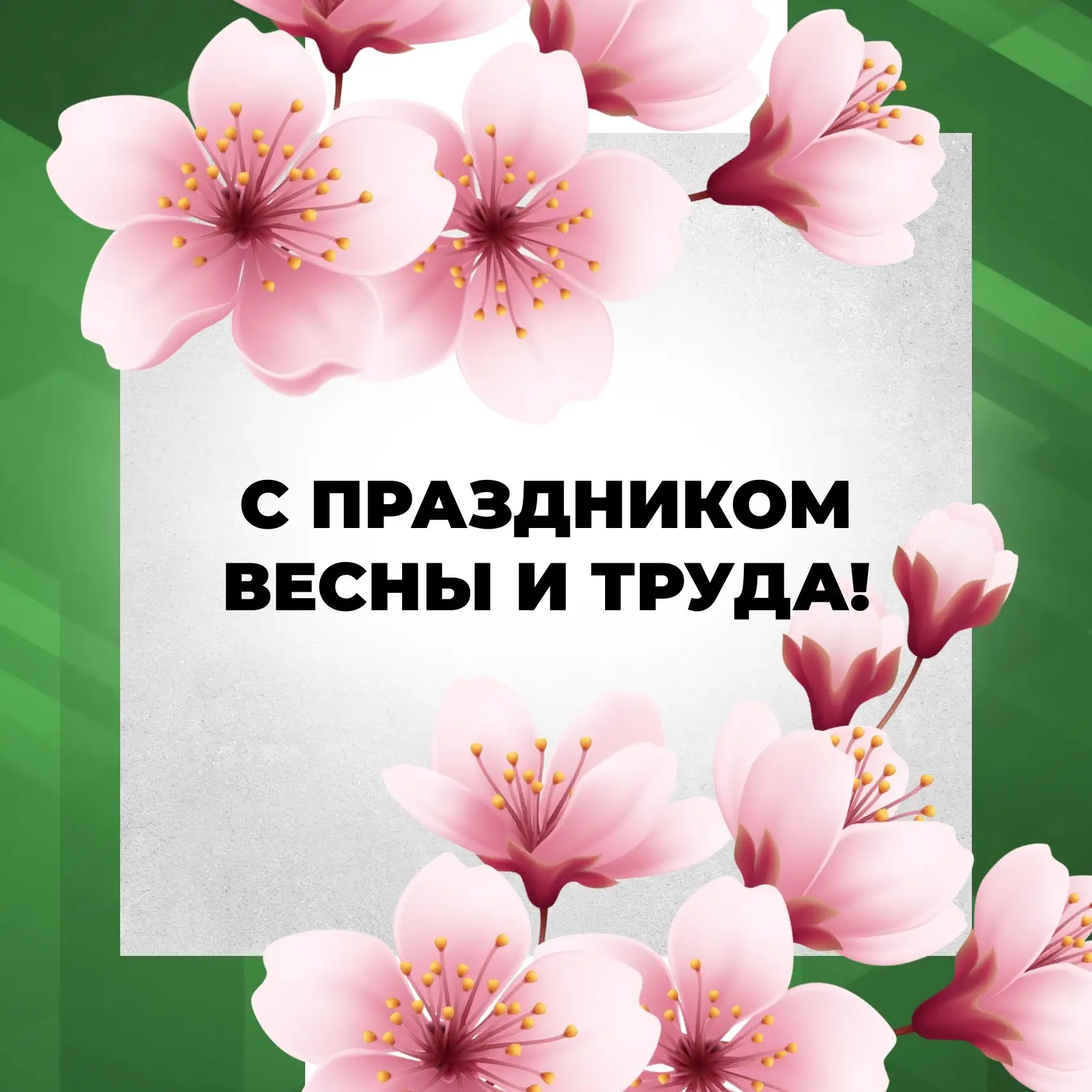 Мир. Труд. Май. ☀ С праздником!

Пусть работа приносит результат, проекты - развитие, а решения - ув