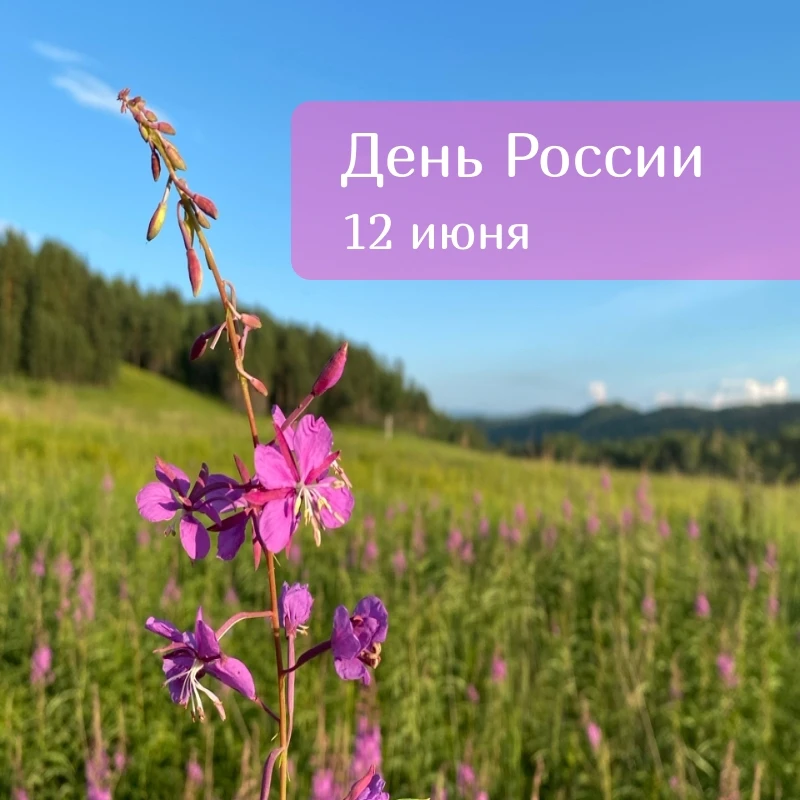 С Днём России! Этот праздник — символ единства, гордости за историю и достижения нашей страны. В это