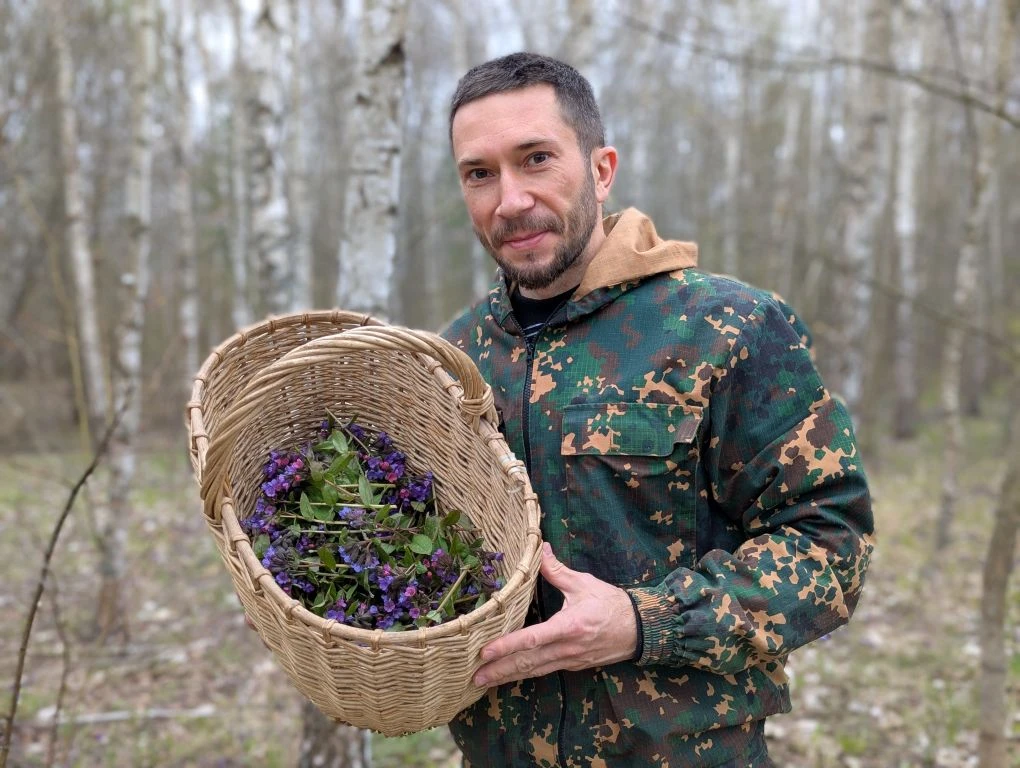 Ее называли Живой травой лесовой

Медуницу лекарственную и неясную все еще можно сейчас собрать в цв
