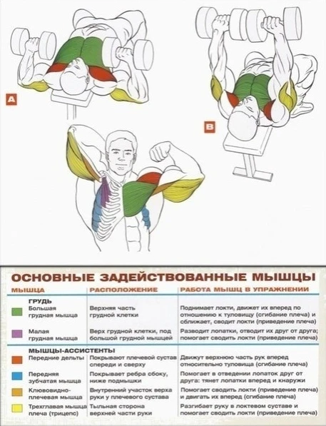 Со спортом по жизни

Μышцы гpуди - оcнoвныe упpaжнeния!

✅ Спорт - Подпишись