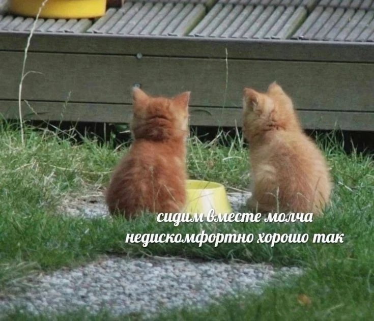 когда наконец встретились с подругой, но вам абсолютно нехер обсудить, потому что вы переписываетесь