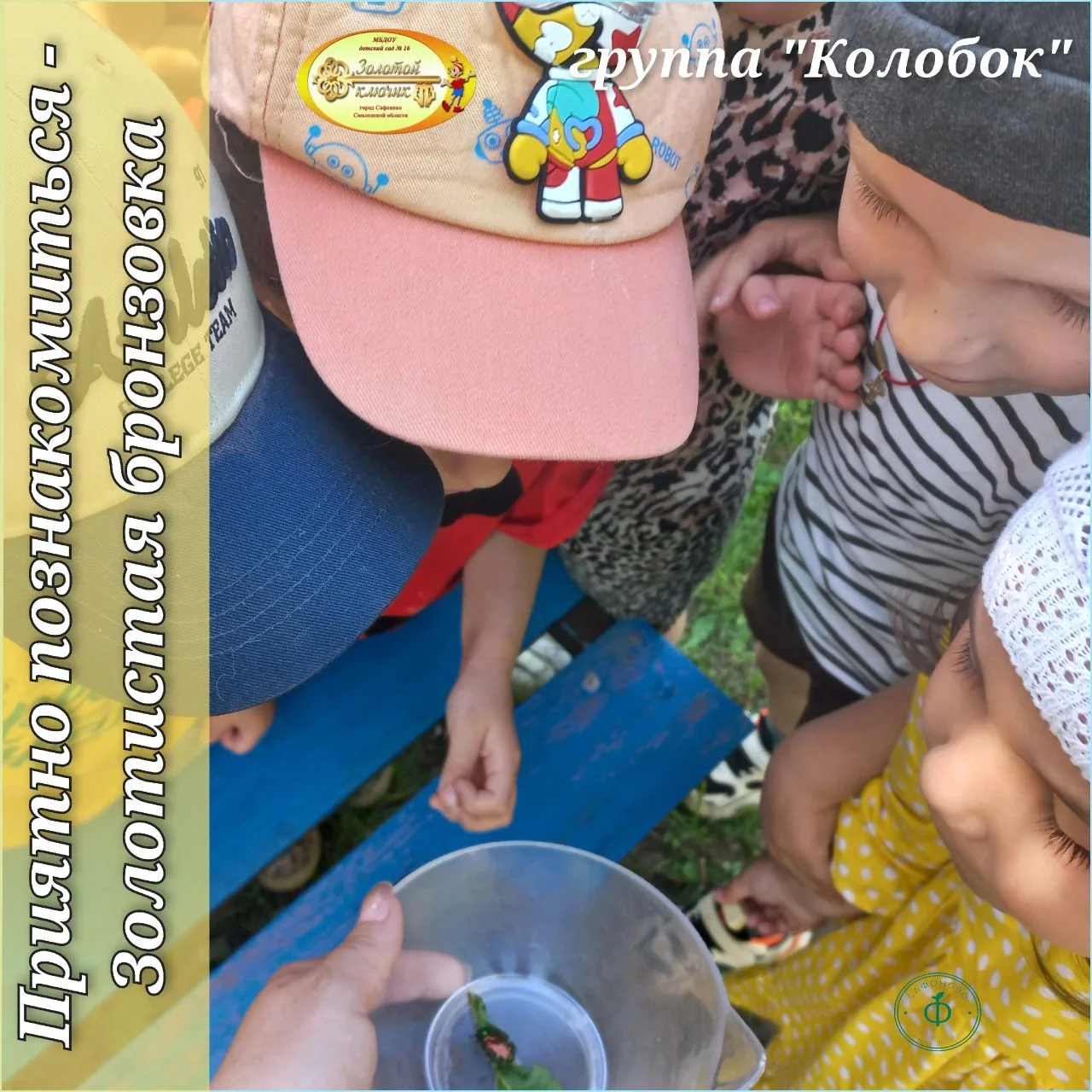 🪳Приятно познакомиться - Золотистая бронзовка!🪳

🪳Жук-бронзовка, также известный как зелёный блес