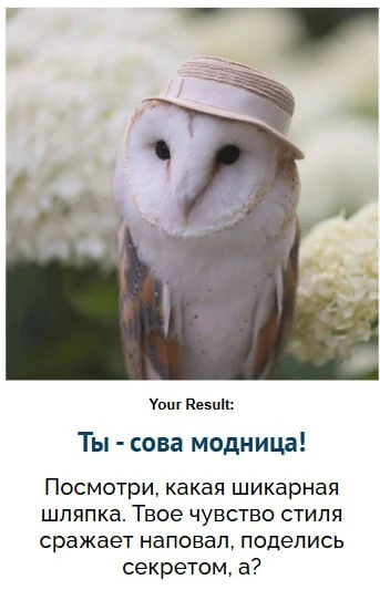 🦉Какая ты сова?

🔗 Пройти тест