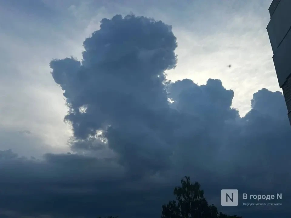 🌧️ Ливень накроет Нижний Новгород и область в ближайшие два часа, сообщает РСЧС. Он будет идти до з
