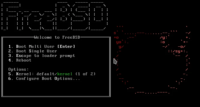 В описаниях продуктов или в обсуждениях в чате иногда упоминается FreeBSD. Это старая самобытная сис