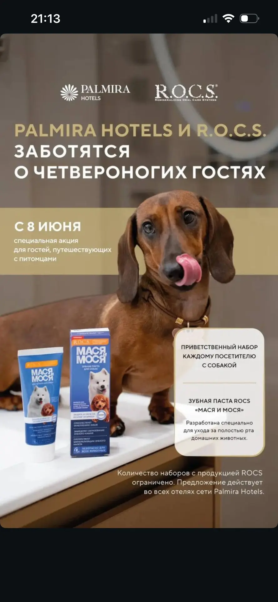 Сеть отелей Palmira Hotels совместно с брендом ROCS запустили акцию для гостей, путешествующих с пит