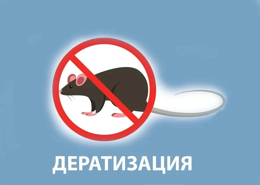 📢 Уважаемые жители!

⚠️ Проведение дератизации (обработка от грызунов)!

18 июня с 10:00 до 13:00 с