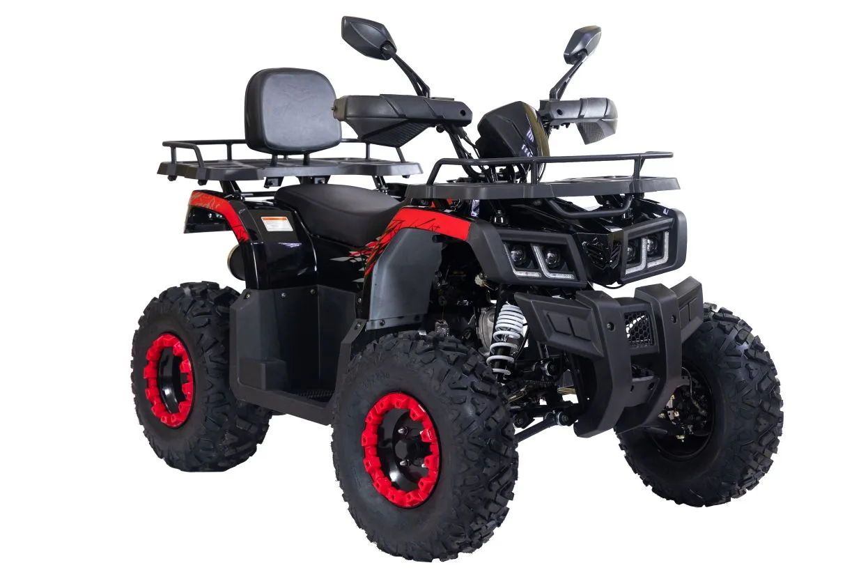 RC200 GLADIATOR

Подростковый квадроцикл, который с лёгкостью увезёт и взрослого	

Цена: 187.000р из
