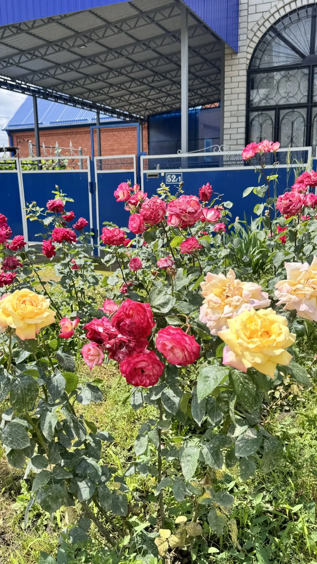 Доброе воскресное утро😍🌹🌹🌹

Хорошая новость! 
По нашей улице больше не едят машины👌 перекрыли п