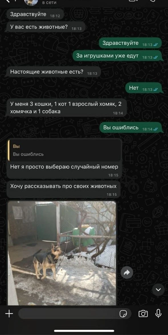 Выставил игрушки в домовом чате — а вместо покупателя пришёл незнакомец рассказывать про своих питом