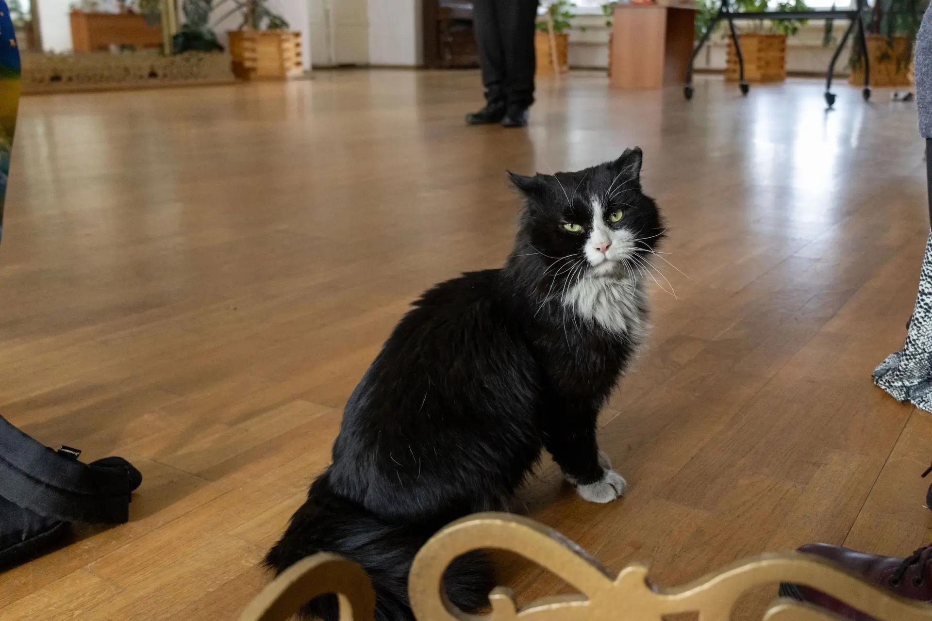 🐈‍⬛Один из главных сотрудников Нерчинского краеведческого музея празднует сегодня свой день рождени