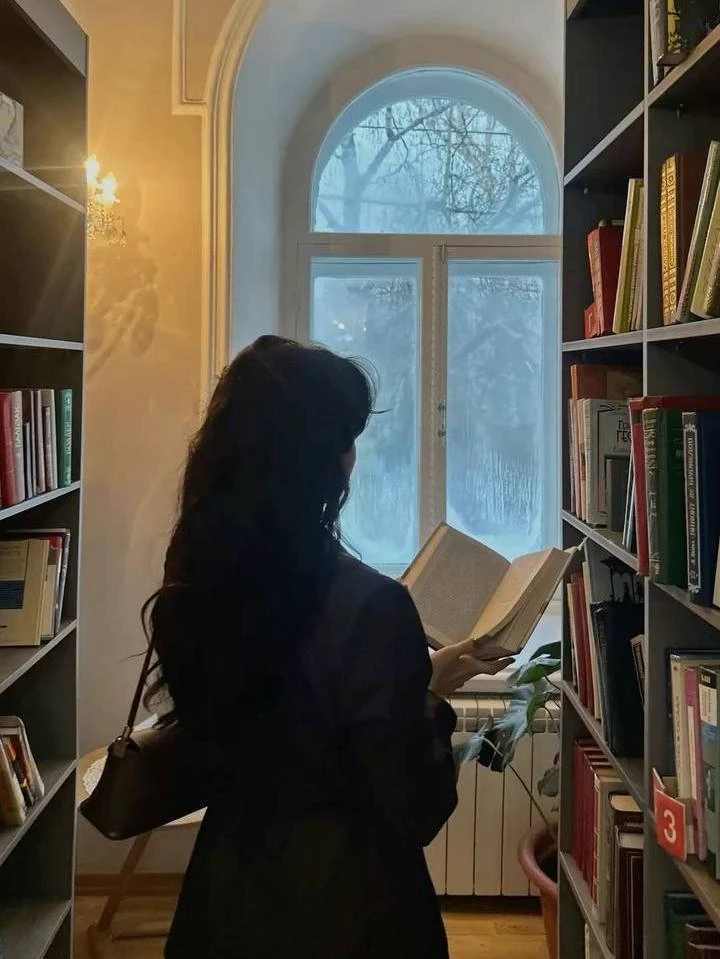 «меня охватила грусть перед дальней дорогой. не правда ли, мессир, она вполне естественна, даже тогд