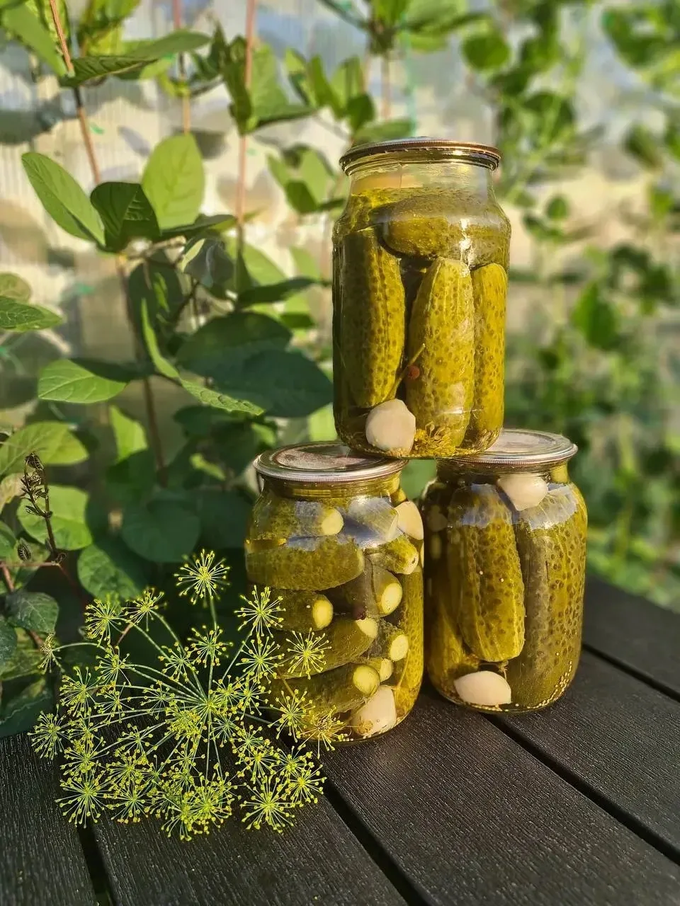 Друзья , рецепт хрустящих маринованых огурчиков по проверенным маминым рецептам🥒🥒🥒
Ловите👇 ⠀
⠀
М