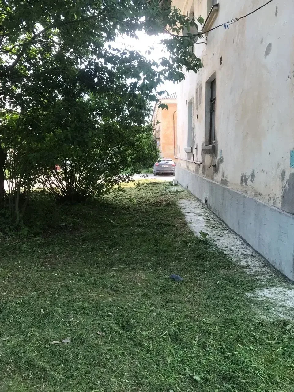 🌱ВЫПОЛНЕНЫ РАБОТЫ
по покосу газона на придомовой территории МКД по адресу:

🏠 гп. Кузнечное, ул. П