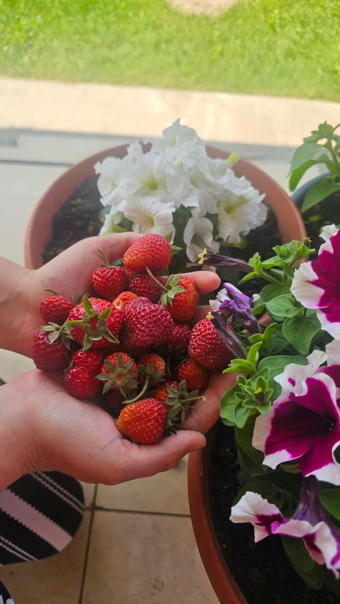 Своя🍓