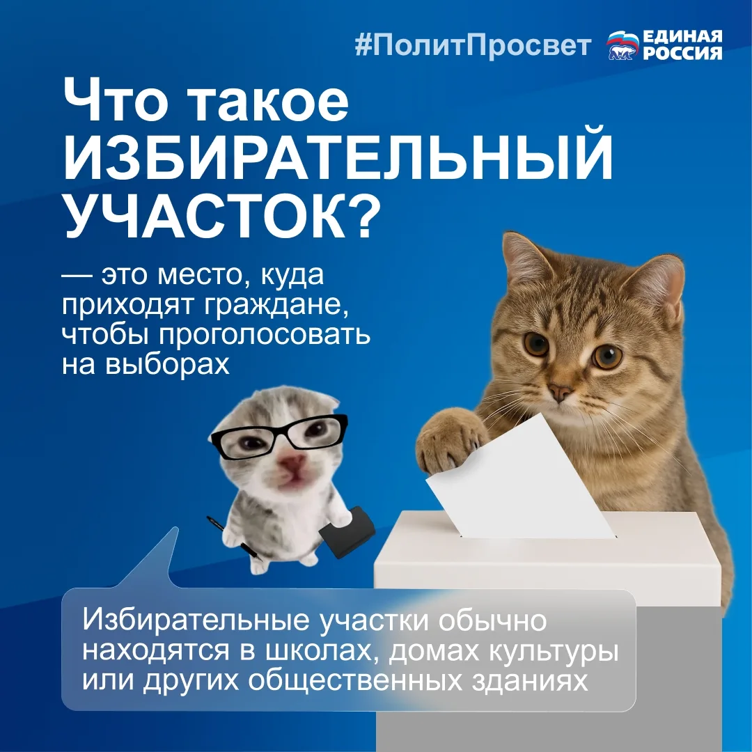 Где проходит голосование?

Котики-политотики в еженедельной рубрике #политпросвет рассказывают, что 