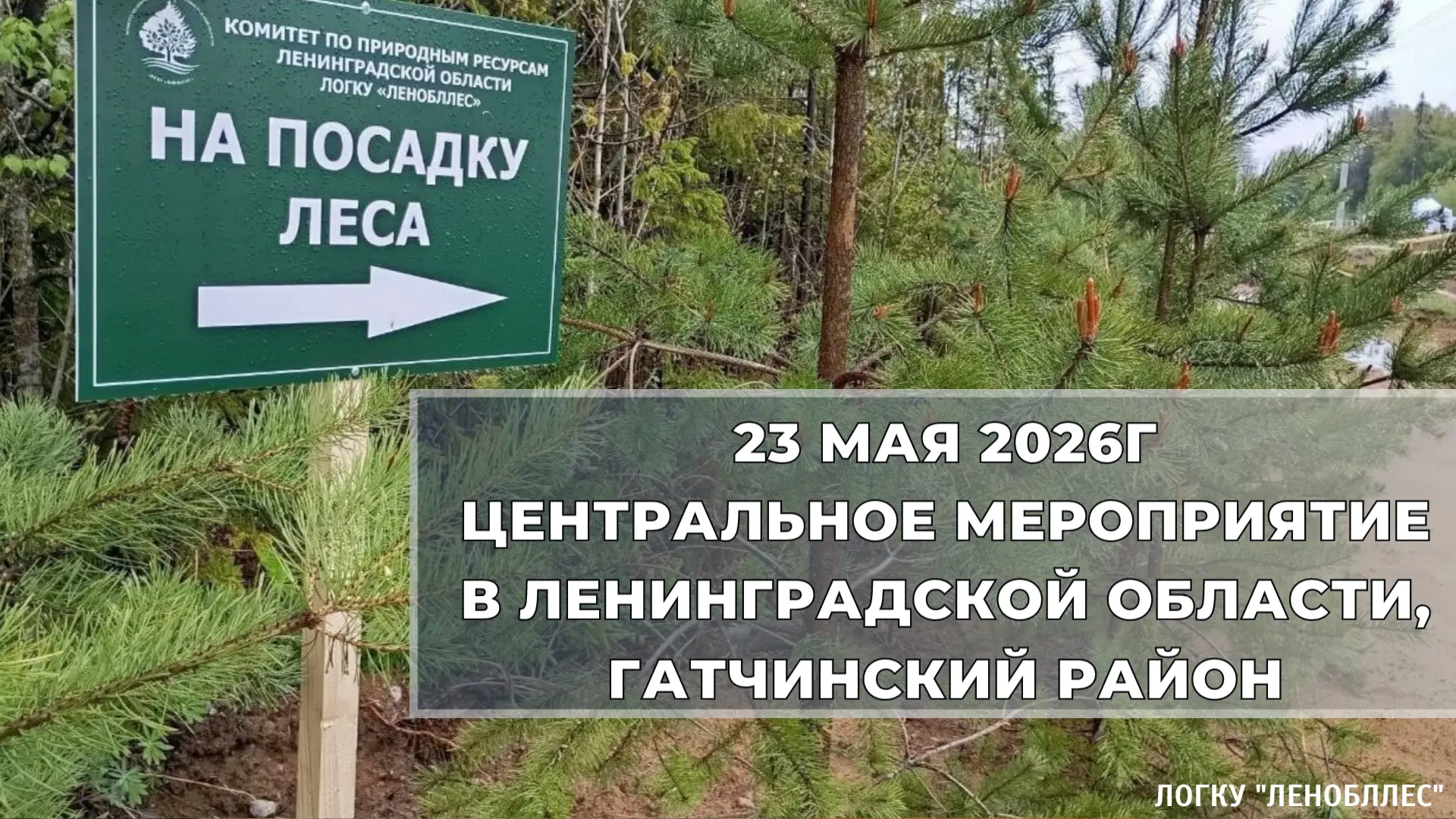 🌱23 мая 2026г состоится центральное мероприятие экологической акции - «Всероссийский день посадки л