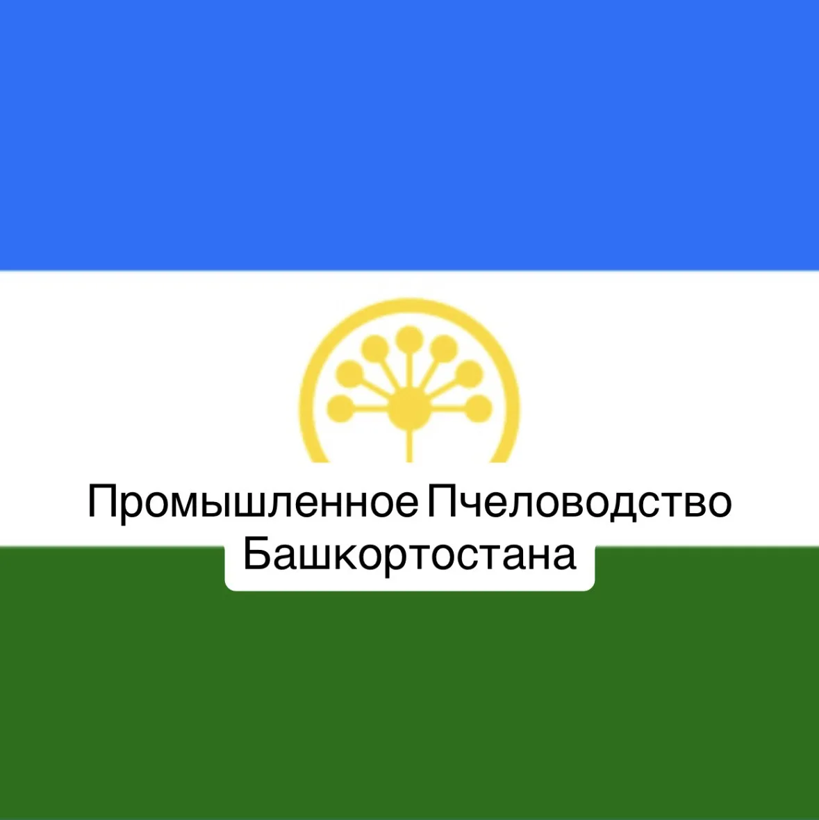 Добрый день уважаемые коллеги! 
5 июня 2026 года состоялось ВКС  общение с пчеловодами  по развитию 