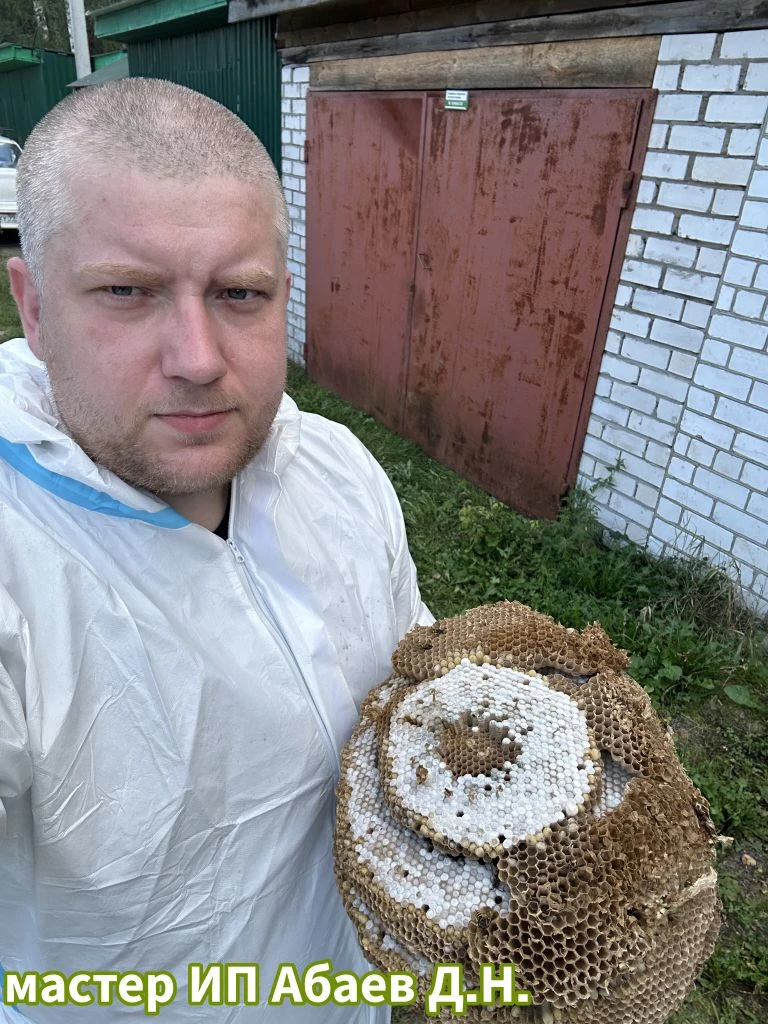 Удаление гнезд ос и шершней своими руками – рискни жизнью! 🐝🔥

Приветствую всех любителей приключе