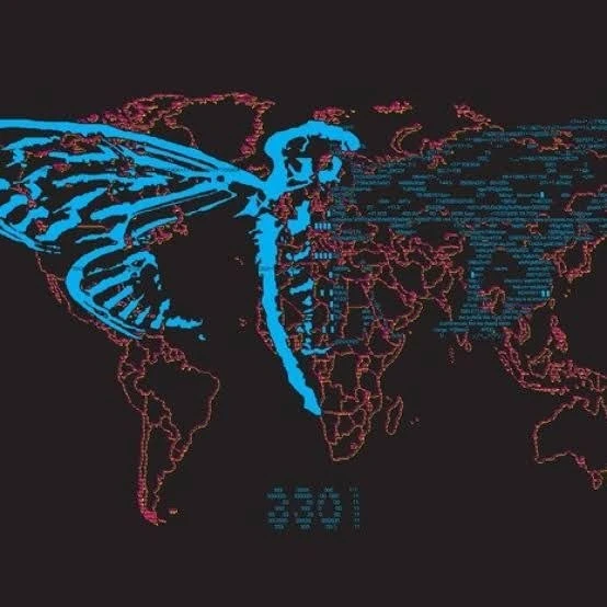 Cicada Mafia city с Пятым продолжает кибероперацию «РЕЙД» — самого масштабного проекта против госуда