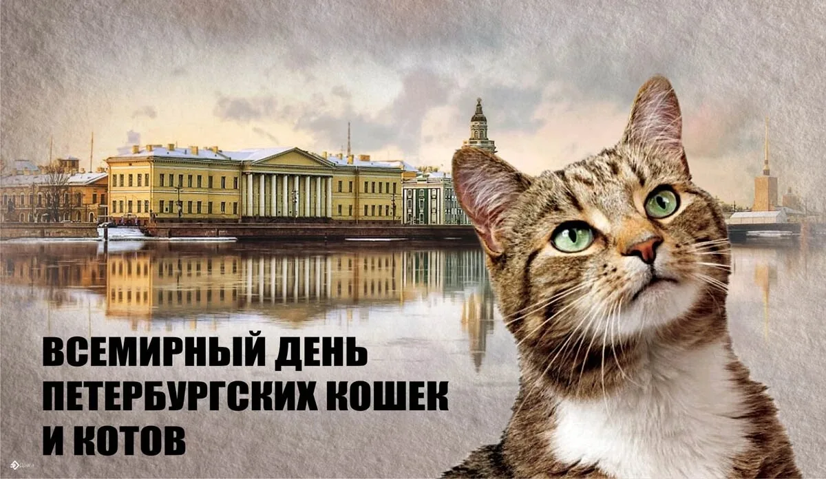 🐈8 июля — особенный день для всех, кто влюблён в атмосферу Санкт-Петербурга. Сегодня отмечается **В
