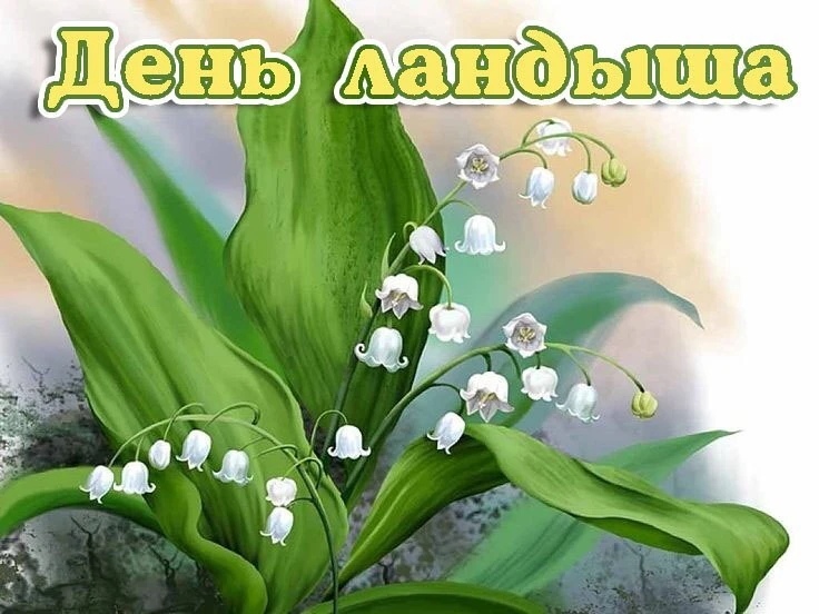 День ландыша 🌼🌼🌼

⭐📌 Конспекты познавательных занятий для детей:
https://forum.d-seminar.ru/thre