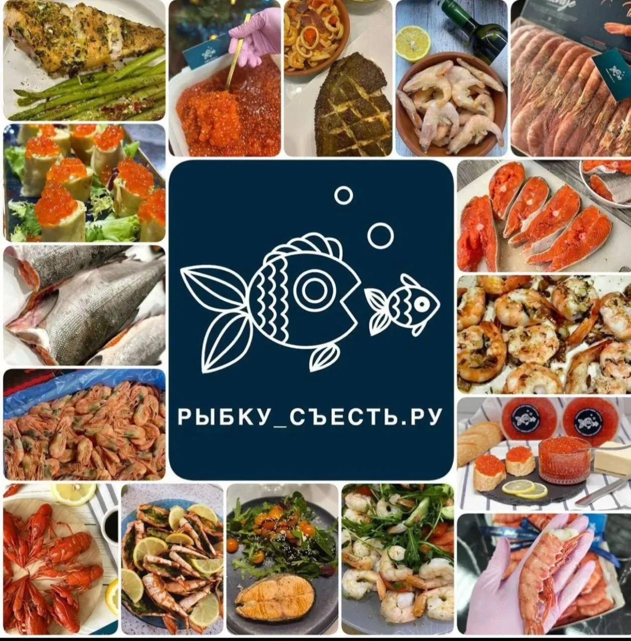 ⭐️ ИЩЕЩЬ ИКРУ, РЫБУ🐠, МЯСО И ДРУГИЕ ДЕЛИКАТЕСЫ ЛУЧШЕГО КАЧЕСТВА У СЕБЯ В ГОРОДЕ?

ТЫ ЕЕ НАШЕЛ😎 СРО