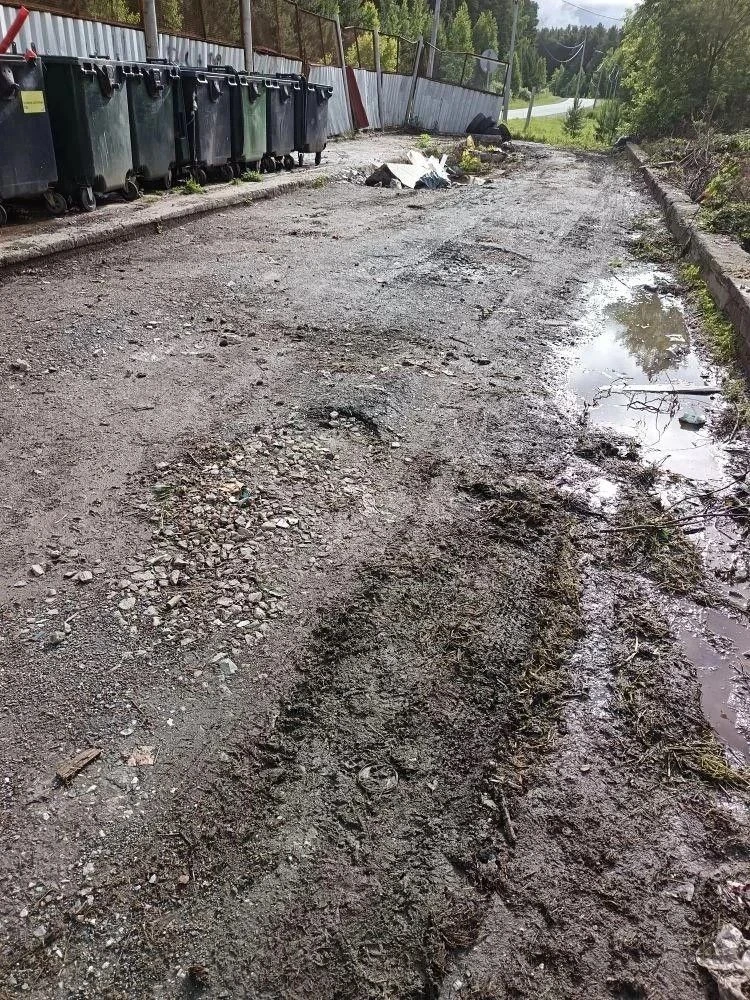 02.06.2026, 03.06.2026, 15.06.2026 года силами МБУ Благоустройство была проведена большая работа по 
