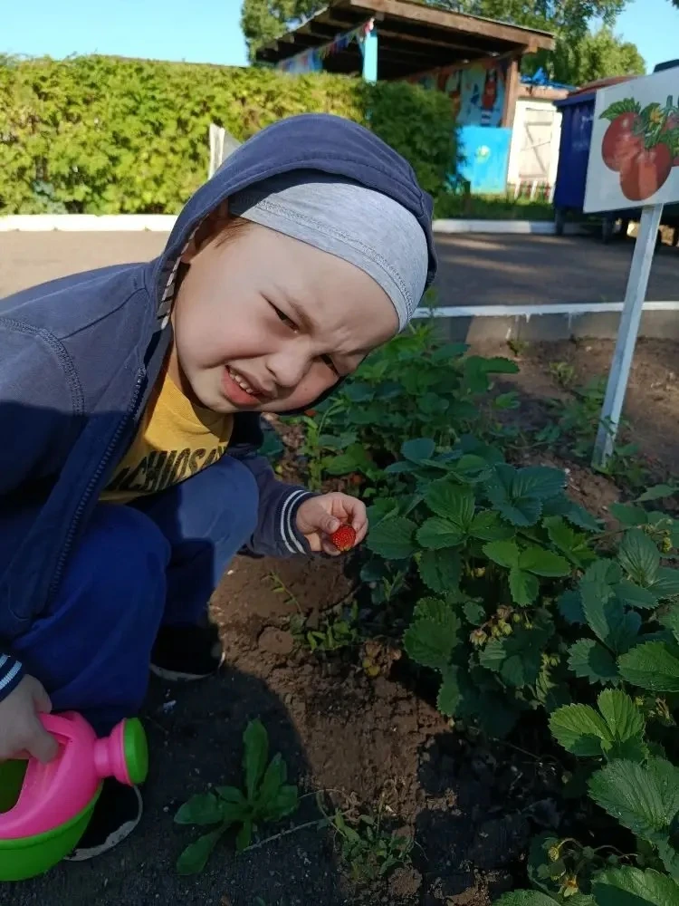 В детском саду «Ручеёк» случилось маленькое чудо: ребята из средней группы собрали свои первые ягоды