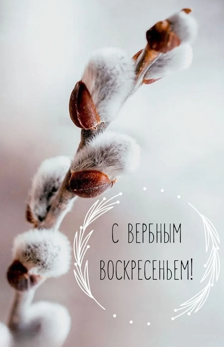 🌿 С Вербным воскресеньем!

Пусть в ваш дом вместе с вербой войдут мир, добро и благополучие. Желаем