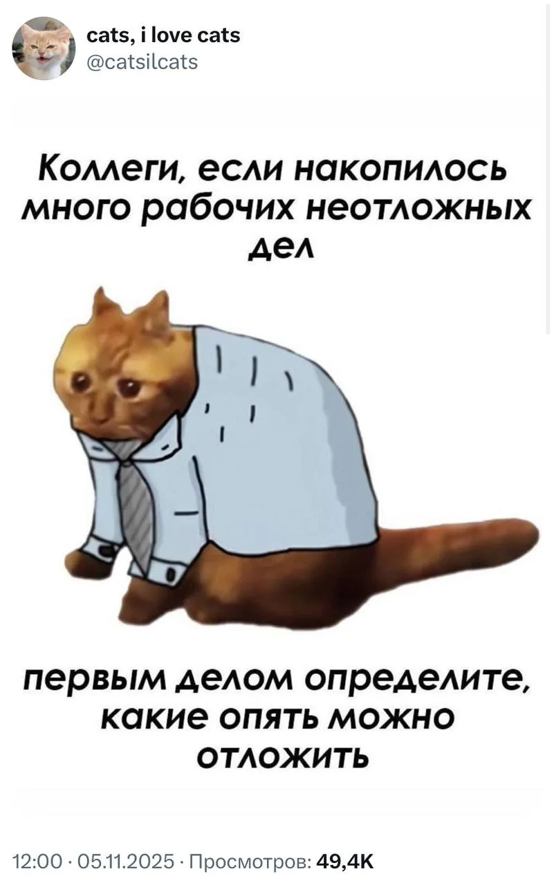 Незаменимый совет на неделю после праздников