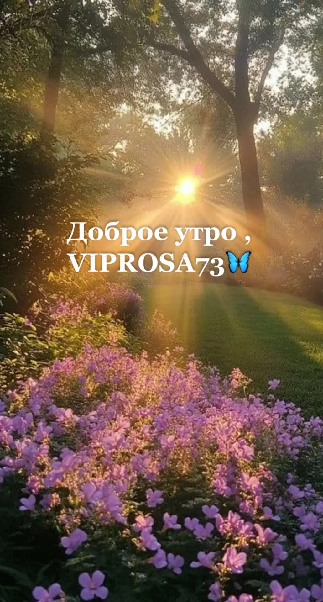 ☀️ Доброе утро, VIPRosa73. Можно снова писать в чат  ✨