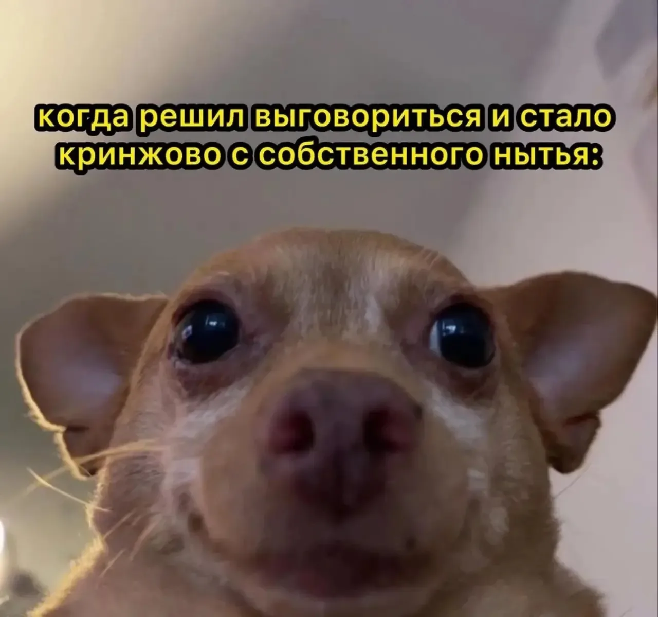 Простите 😂