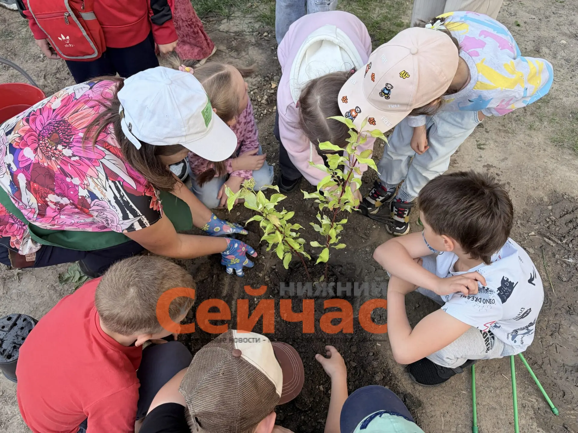 Домоуправляющие компании Советского, Нижегородского, Канавинского, Приокского и Московского районов 