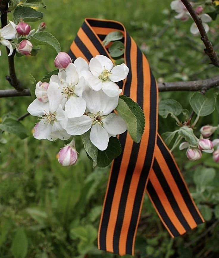 💐 Dear friends, 

May this day be filled with remembrance, gratitude, warmth, and respect for those