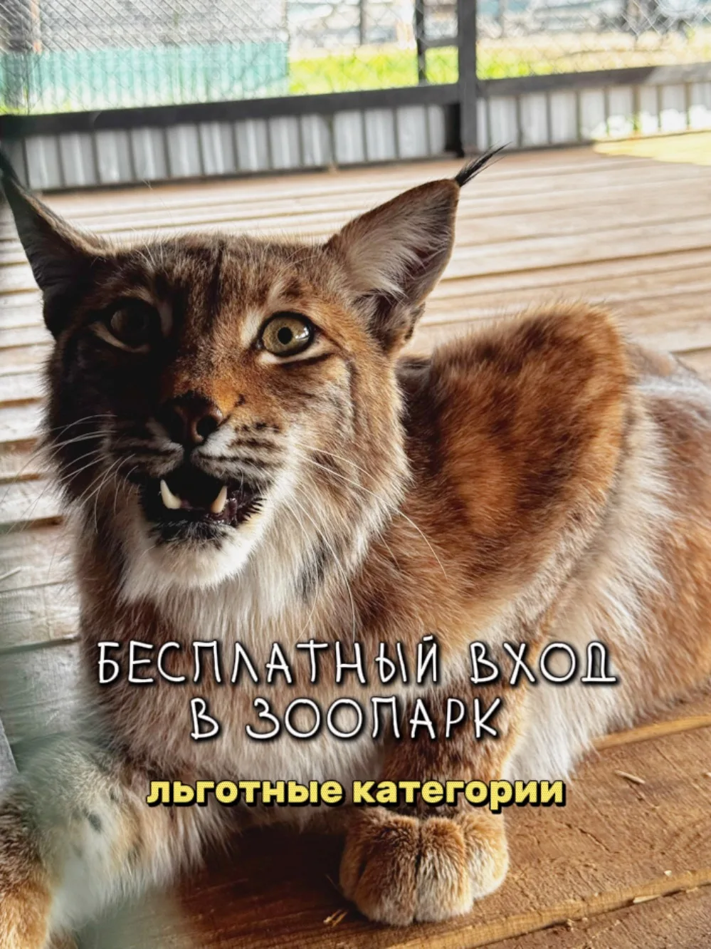Вход бесплатный👇

📍При предъявлении оригинала соответствующего документа:

🔺участникам и ветерана