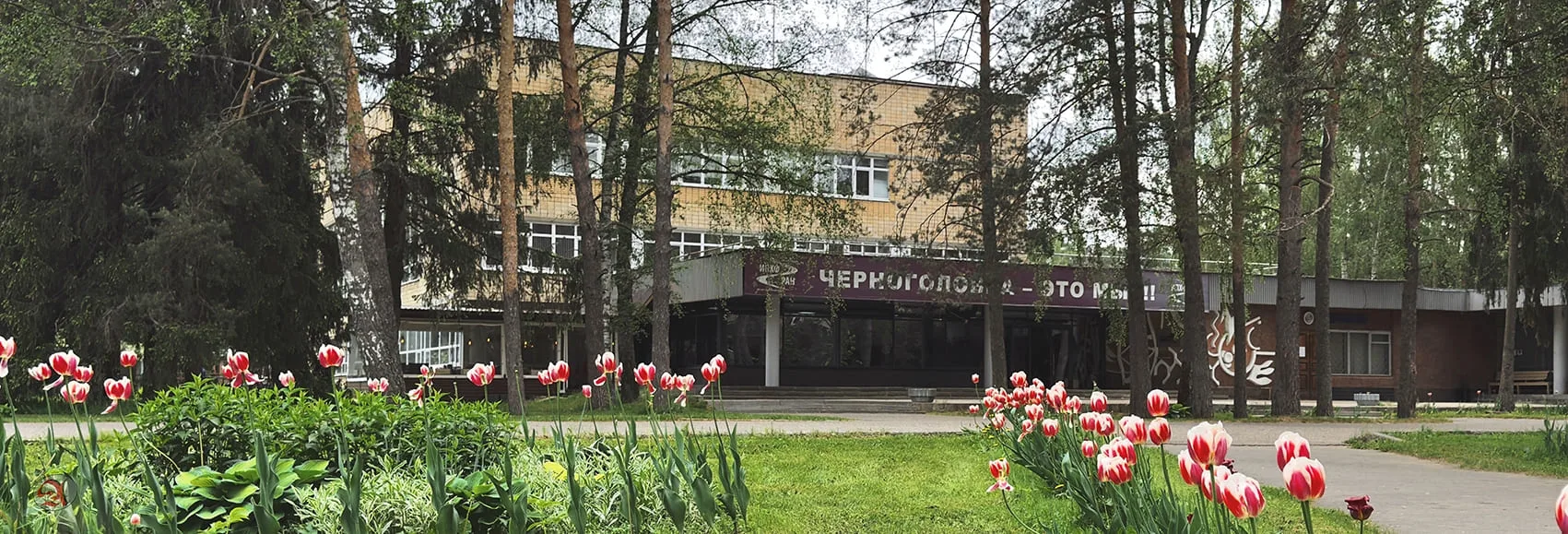Поздравляем ФИЦ ПХФ и МХ РАН с Юбилеем 🎉

От всего коллектива химического факультета МГУ имени М.В.