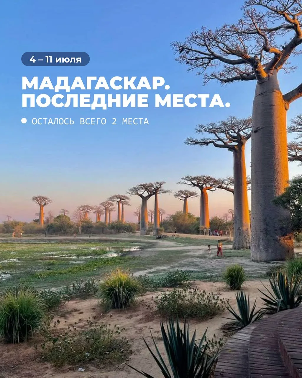 МАДАГАСКАР. ПОСЛЕДНИЕ МЕСТА НА ЯХТУ 🇲🇬

Отправляемся в настоящее приключение по Мадагаскар

📍 🗓️