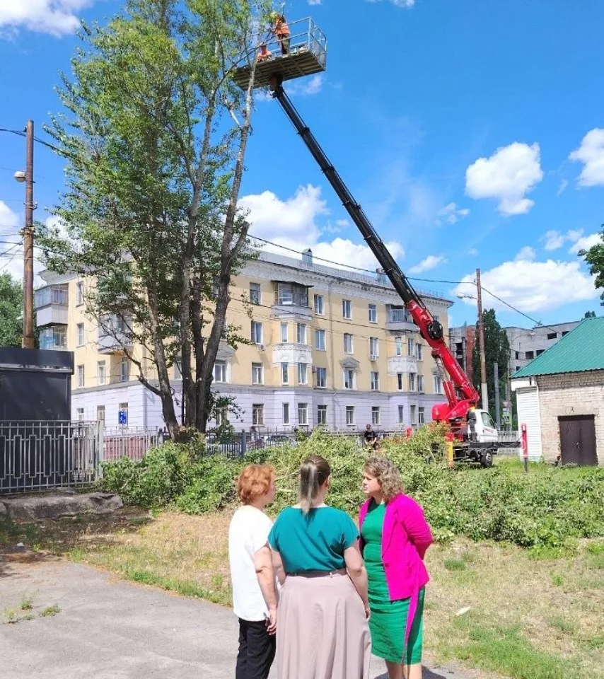 🔊В последнее время практически на каждой встрече мне говорят о необходимости опиловки деревьев - на