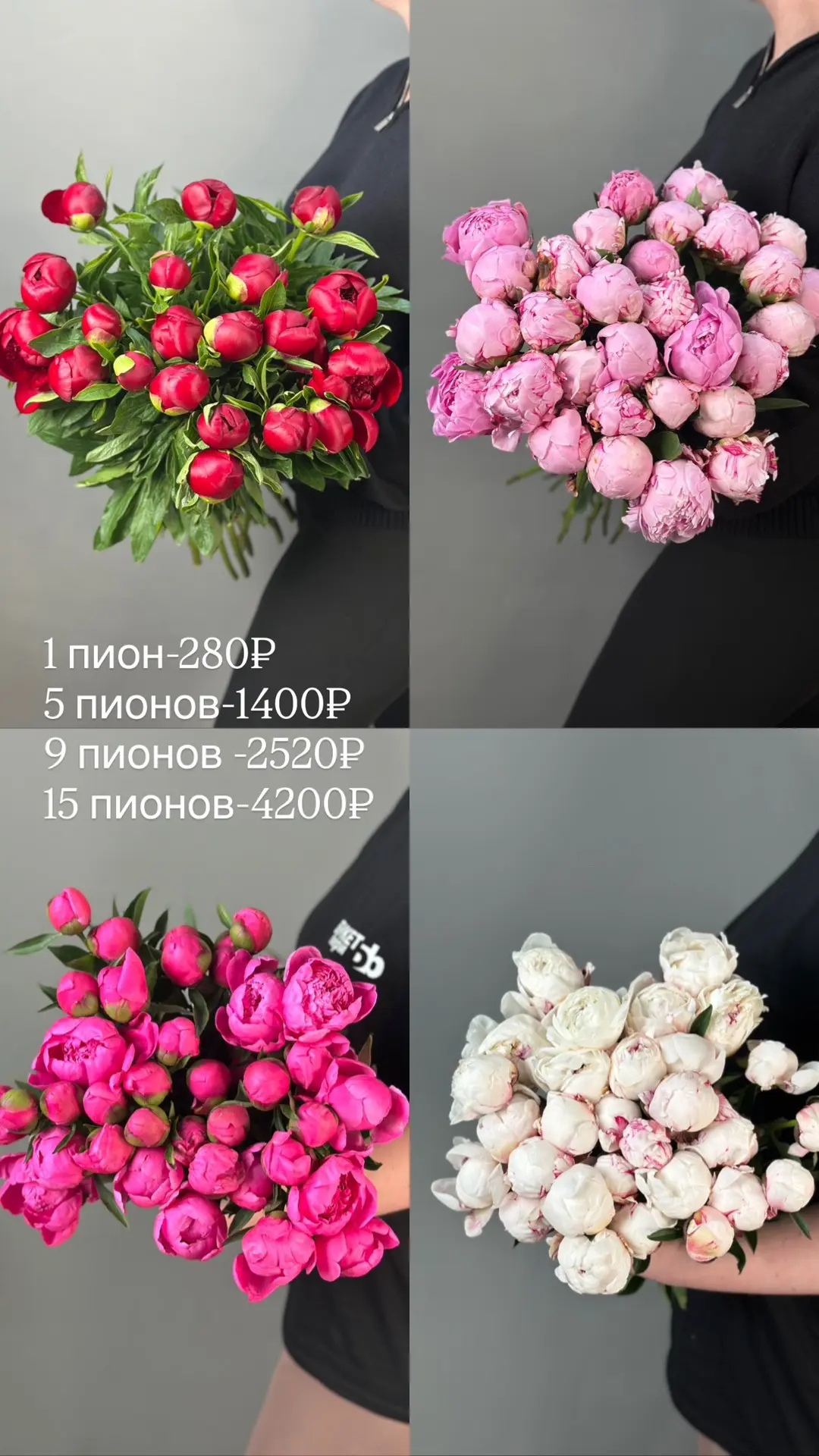 Всеми любимые пионы в наличии 🔥

280/шт

Оформить заказ на цветы:

• в What’s App, Max, +7912817637