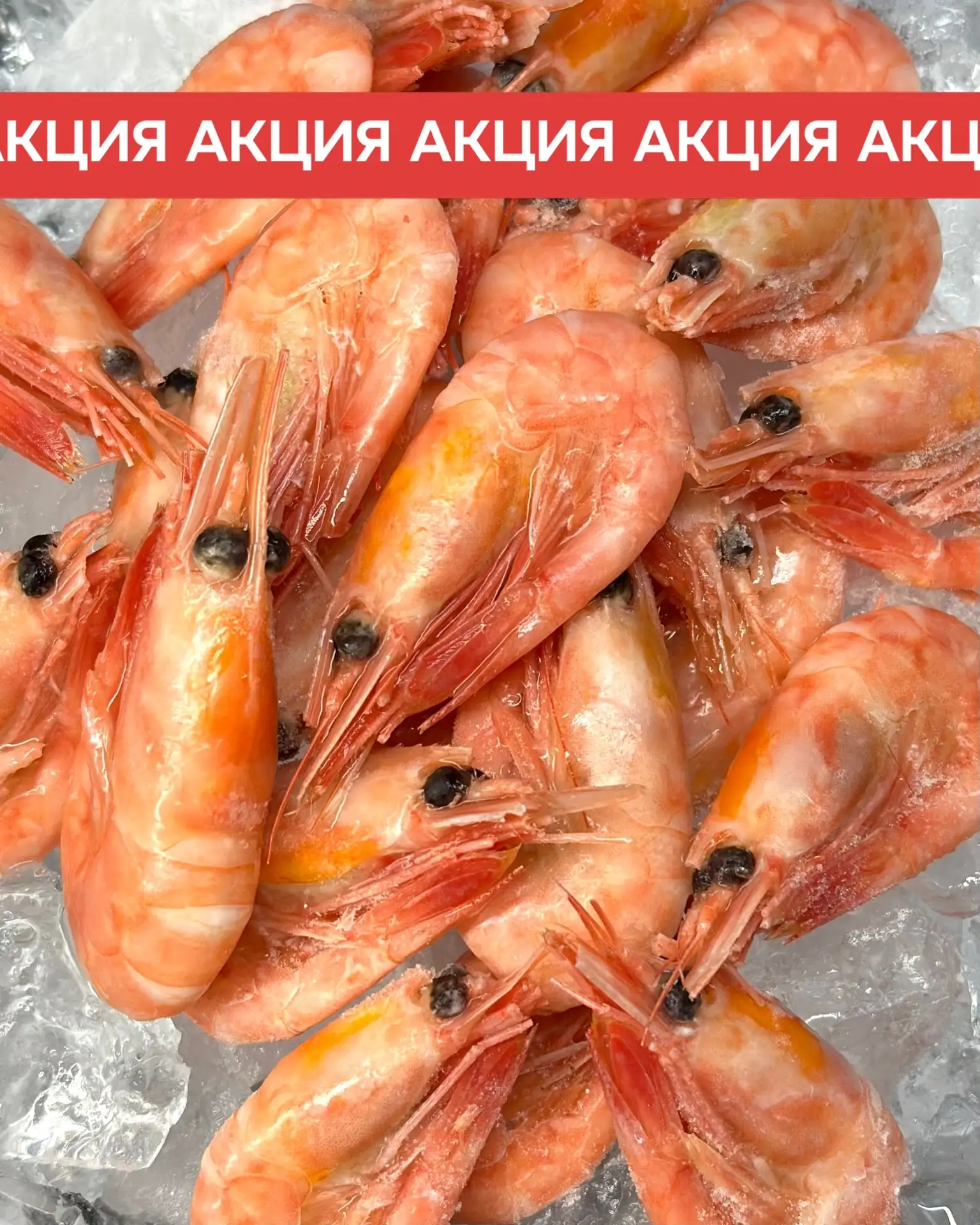 ТАКОГО еще не было 😱😱😱

САМАЯ ПОПУЛЯРНАЯ КРЕВЕТКА — ПО САМОЙ НИЗКОЙ ЦЕНЕ!

Северная креветка 150+