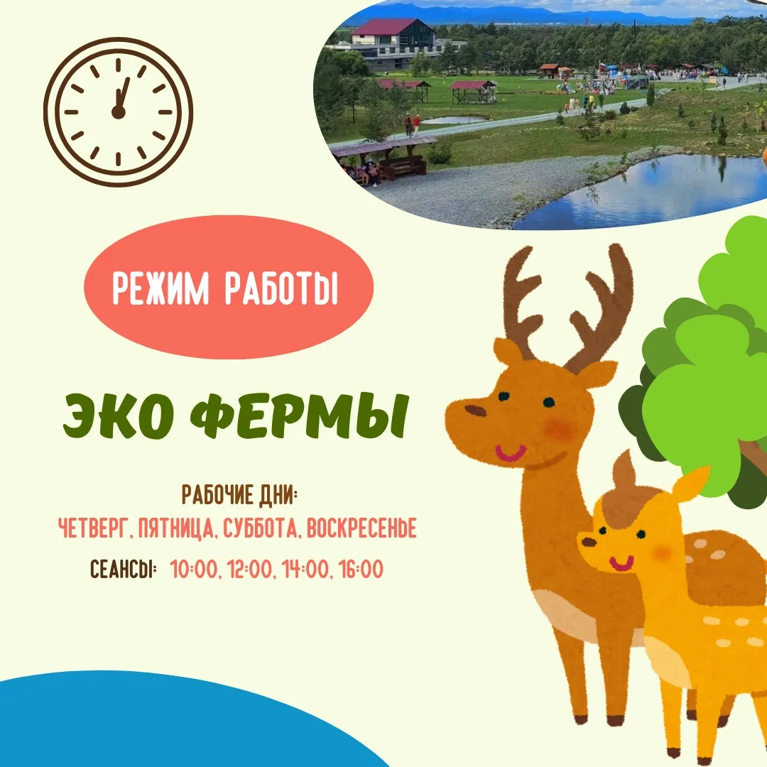 🌸📋 Друзья, у нас важные новости! 

➡️ Мы решили немного изменить график работы, чтобы наши животны