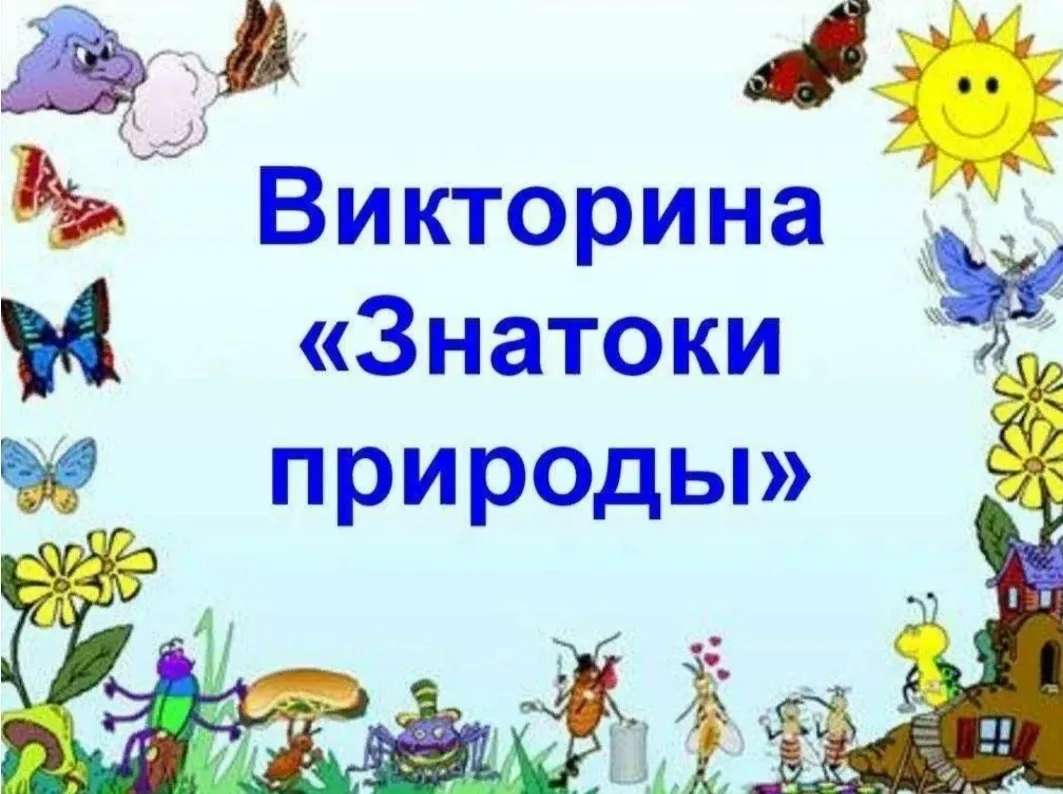 Богат, прекрасен и бесконечно разнообразен удивительный мир природы  нашей страны. Где бы мы ни были