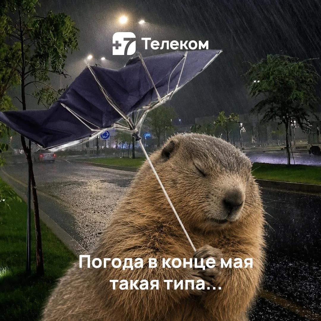 Кажется, всё вокруг намекает: сегодня лучше никуда не идти 😌
Остаться дома, укутаться в плед, включ