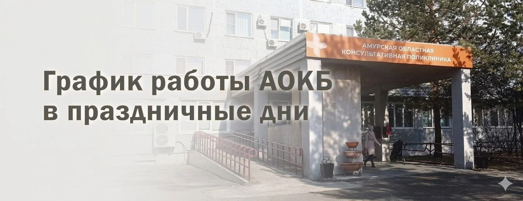 🏥 Стационар АОКБ – ежедневно, круглосуточно.

🤱 Стационар Областного перинатально центра – ежеднев