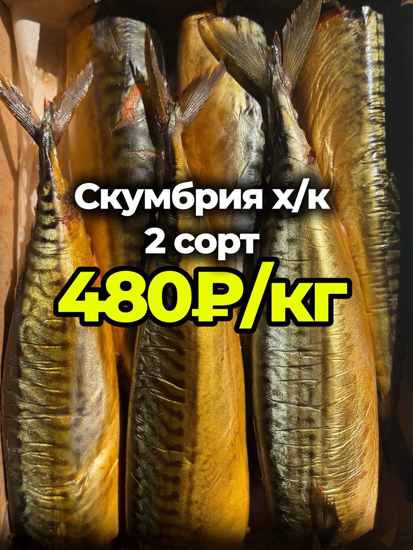 Только у нас🤗 ЦЕНА ЕЩЕ НИЖЕ🥳🚀🔥

Невероятно вкусная копченая СКУМБРИЯ, сейчас ПО ЦЕНЕ ЕЩЕ НИЖЕ⬇️�