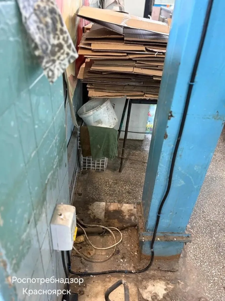 В Ачинске магазин закрыли на 60 суток из-за трупа мыши и плесени

В помещениях — плесень, грязь, пау