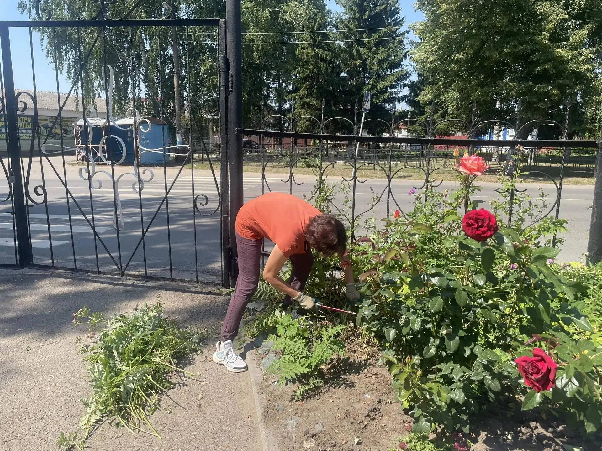 🔔 Сотрудники Центра провели субботник на прилегающей территории. ☀️
Прополоты клумбы с цветами и по