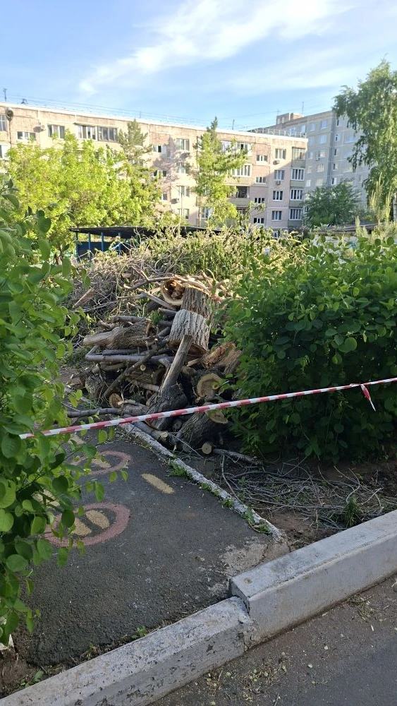 Мы рады сообщить, что на территории нашего детского сада успешно завершена опиловка аварийных деревь